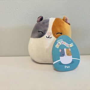 Pax the Hamster 5" Squishmallow